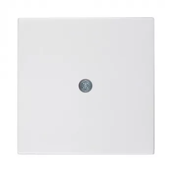 Berker centrālā plāksne kabeļu izvadam, polāri balta (55x55mm, IP20, iebūvējama) - 10198989