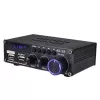 Blitzwolf AS-22 Audio pastiprinātājs, 45W, Bluetooth 5.0, USB + tālvadības pults (Melns)