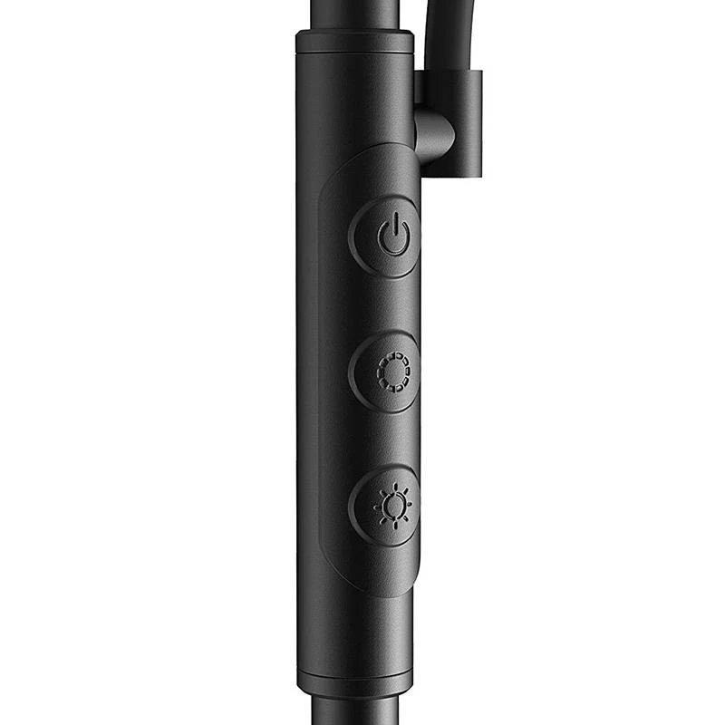 BLITZWOLF Divu lampu grīdas lampa ar tālvadības pulti BlitzWill BWL-FL-0001, 36W (Melna)