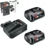 Bosch 18V Starter Set 2 x 2.5 Ah Akumulatori + AL 18V-44 Lādētājs (1600A031T5)