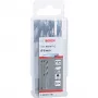 Bosch PowerTools HSS PointTeQ sešstūra urbis, 6 mm, 10 gab., darba garums 57 mm