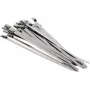 BRADAS TS1446150*P25 gliemežpārvada šļūtenes skava, 14-46mm, cinkots tērauds, 25 gab. iepakojumā