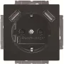 BUSCH-JAEGER BJ 20 EUCB2USB-81 SCHUKO kontaktligzda ar 2 USB portiem, Alpu balts 2CKA002011A6267