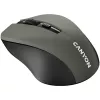 CANYON MW-1 bezvadu optiskā pele - 2.4 GHz, 1600 DPI, pelēka
