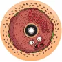 Chubby Wheel 110mm Red Donut - Freestyle Skreitrite Ritenis ar ABEC-9 Gultņiem