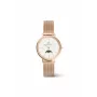 DANIEL WELLINGTON Petite Lumine 32mm sudraba pulkstenis ar perlamutra ciparnīcu un sudraba sietiņa siksniņu DW00100773