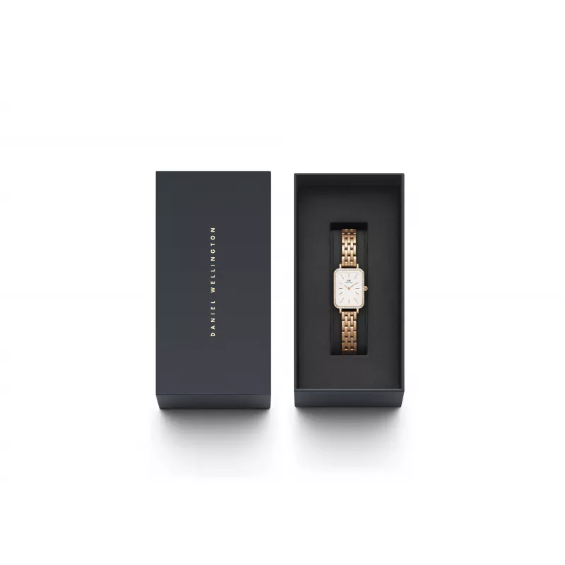DANIEL WELLINGTON Sieviešu pulkstenis DW00100672 20mm Roze zelts Nerūsējošā tērauda siets