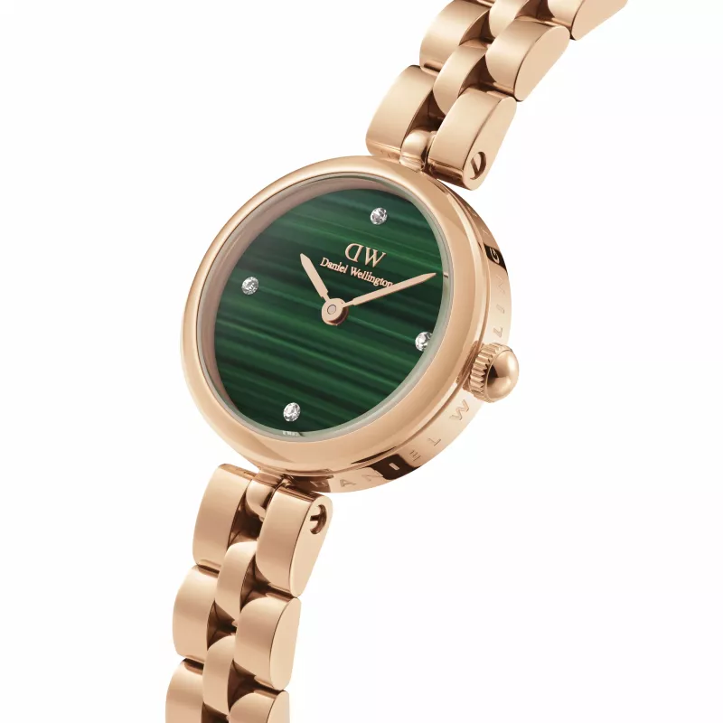 DANIEL WELLINGTON Sieviešu pulkstenis DW00100721 (22mm) - Rožu zelta nerūsējošā tērauda siets