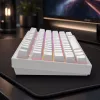 Dark Project Terra Nostra G3MS Moonstone Switch, RU balts