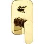 DEANTE Slēptais dušas maisītājs ar dušas slēdzi, matēti melns, misiņš, Arnika sērija