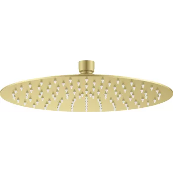 DEANTE Stainless Steel Round Rain Shower Head 250 mm