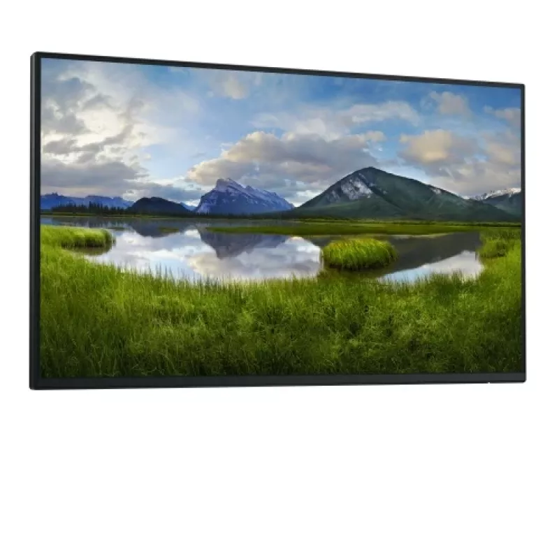 Dell Pro 24 Plus P2425HE Monitoris 23.8 inch IPS FHD 1920x1080 8ms 250cd/m2 100Hz (bez statīva)