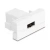 Delock Easy 45 modulis EASY-USB 2.0 Type-A ligzda uz EASY-USB Type-A ligzda balts 90866