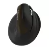 Delux M618 Mini Gold ergonomiskā pele - 2.4G / Bluetooth 5.0 / USB-C, 4000 DPI, labās rokas vertikālā