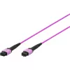 DIGITUS OM4 MPO uz MPO 12 šķiedru savienojuma kabelis, 2m, A metode, violets DK-2566-02/4