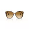 EMPORIO ARMANI Sieviešu kaķacs formas saulesbrilles EA4214U60593B Caurspīdīgs brūns rāmis Brūnas gradienta lēcas 54/18/140 mm