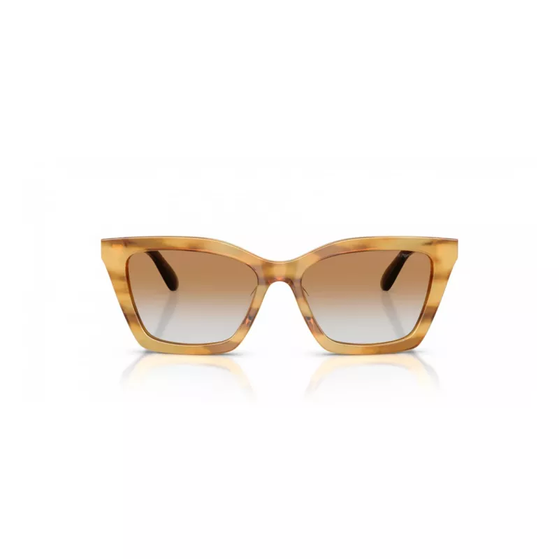 EMPORIO ARMANI Sieviešu saulesbrilles EA4250U62692Q Cat Eye Caurspīdīgi Pelēkas 54mm