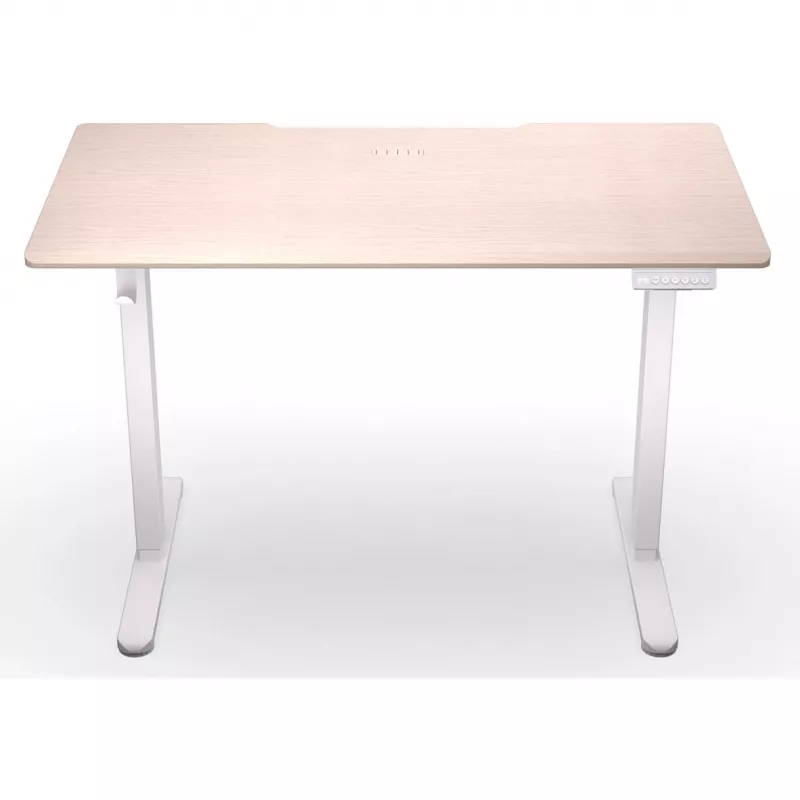 ENDORFY Atlas S Electric Height Adjustable Desk Light Wood 120x60 cm