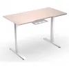 ENDORFY Atlas S Electric Height Adjustable Desk Light Wood 120x60 cm