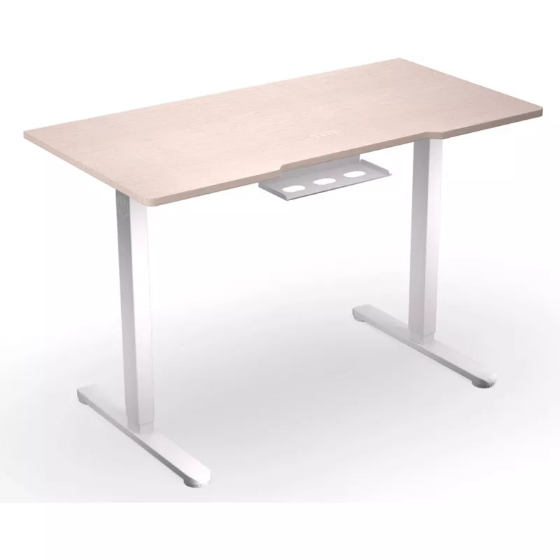 ENDORFY Atlas S Electric Height Adjustable Desk Light Wood 120x60 cm