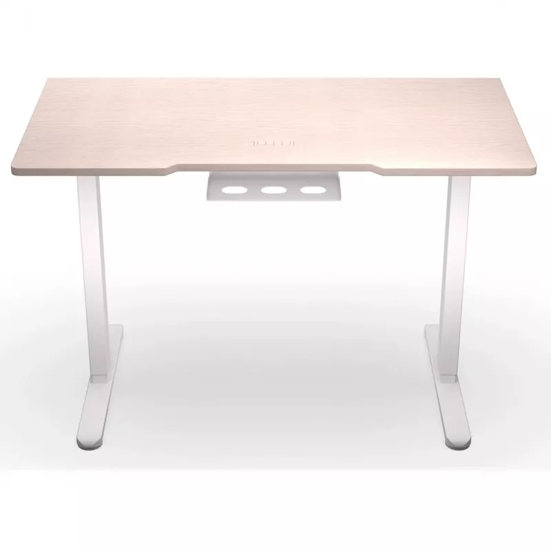ENDORFY Atlas S Electric Height Adjustable Desk Light Wood 120x60 cm