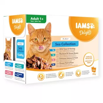 Eukanuba IAMS Delights Adult Sea in Jelly mitrā kaķu barība 12x85g