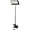 EUROLITE LED KKL-40 prožektors 3CT melns 40W COB RGBW DMX 41600602