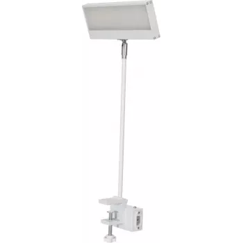 EUROLITE LED KKL-40 prožektors 3CT balts 41600600