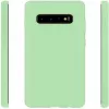 Evelatus Samsung Galaxy S10+ Nano silikona maciņš Soft Touch TPU piparmētru krāsā