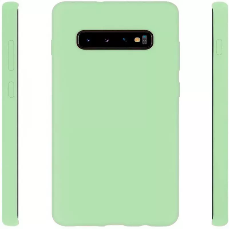Evelatus Samsung Galaxy S10+ Nano silikona maciņš Soft Touch TPU piparmētru krāsā