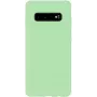 Evelatus Samsung Galaxy S10+ Nano silikona maciņš Soft Touch TPU piparmētru krāsā