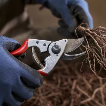 FELCO 14 Vienas rokas apvedzirkņu atzarošanas šķēres – rūdīta tērauda asmens, kalti alumīnija rokturi, 195 mm