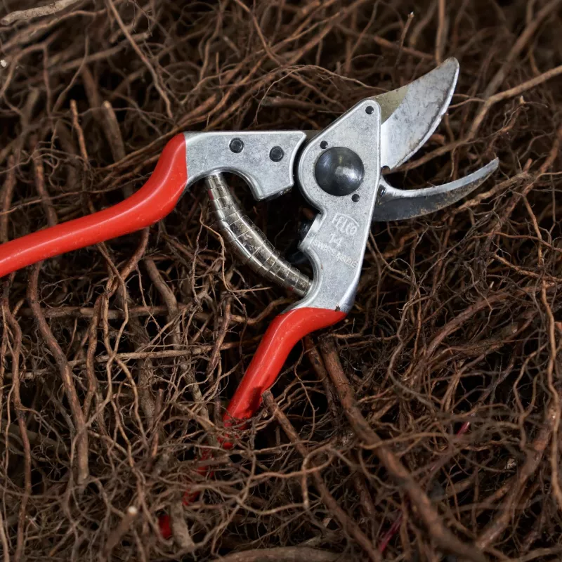 FELCO 14 Vienas rokas apvedzirkņu atzarošanas šķēres – rūdīta tērauda asmens, kalti alumīnija rokturi, 195 mm