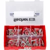 Fischer 536161 Skrūvju enkurs / Sienas dībelis DUOPOWER 6 x 30 mm, 210 gab.