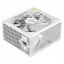 GAMEMAX GX PRO 750G WH 750W 80+ Gold Modular Barošanas Avots