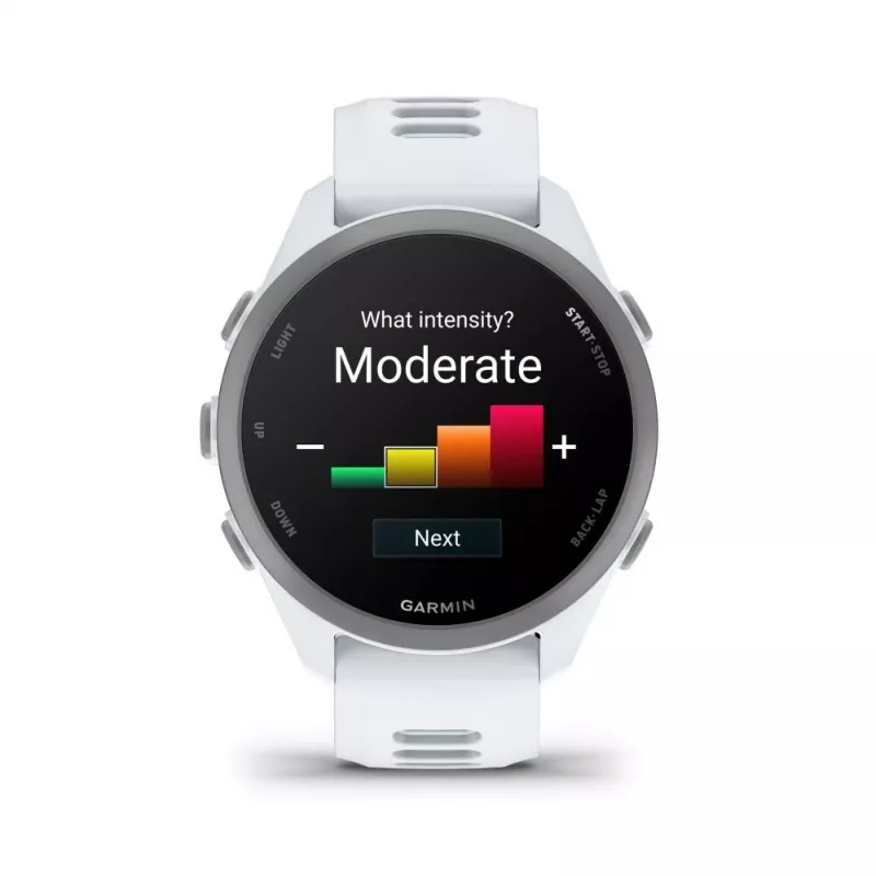Garmin Forerunner 170 Music, Whitestone ar Whitestone/Cloud Blue siksniņu