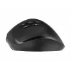 Gembird MUSW3-9B-01 trīs režīmu bezvadu ergonomiskā pele (2,4 GHz + Bluetooth + USB-C), 2400 DPI, 9 pogas, melna