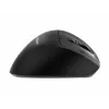 Gembird MUSW3-9B-01 trīs režīmu bezvadu ergonomiskā pele (2,4 GHz + Bluetooth + USB-C), 2400 DPI, 9 pogas, melna