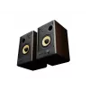 GENESIS ARSEN 402BT 2-virzienu bronzas vadu un bezvadu 60 W