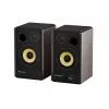 GENESIS ARSEN 402BT 2-virzienu bronzas vadu un bezvadu 60 W