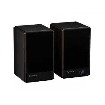 GENESIS ARSEN 402BT 2-virzienu bronzas vadu un bezvadu 60 W