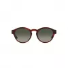 GIORGIO ARMANI Sieviešu saulesbrilles AR8146-596271 Havana Acetāts Zaļš gradients 50/15/145 mm