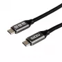 GIZZU 100W 10Gbps USB-C 2m kabelis
