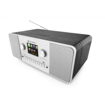 GoGen IR 257 BTDAB interneta digitālais radio sudraba
