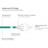 GoodConnections RNS® Cat. 6A S/FTP halogenu nesaturošs savienojuma kabelis ar fiksatora aizsardzību, 3 m, zaļš