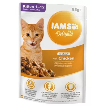 IAMS Delights Kaķēnu Vistas gaļa mērcē Mitrā kaķu barība, 12 x 85g paciņas