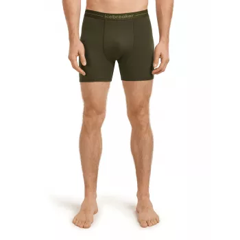 Icebreaker Anatomica Boxers – Dark Loden (Izmērs M)