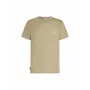 Icebreaker Merino 150 Tech Lite SS Tee Peaceful Pass Men's Flagstone