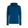 Icebreaker Quantum IV LS Zip Hoodie Vīriešu Atlantis