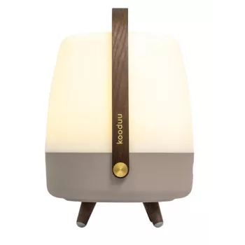 KOODUU Koody Lite-up Play 2.0 Earth LED pārnēsājama lampa ar iebūvētu JBL skaļruni
